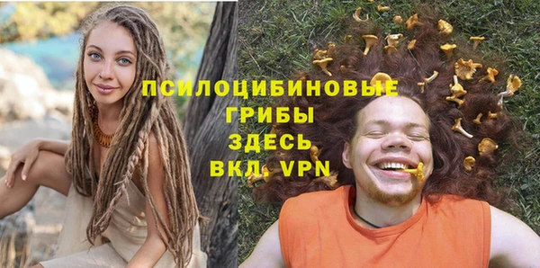 мдпв Белокуриха