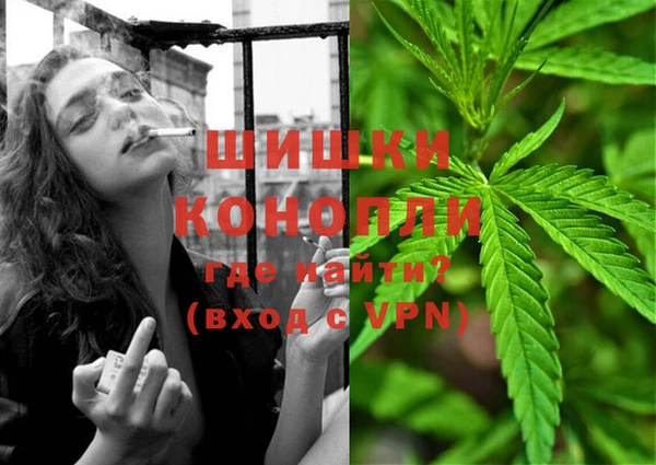 мдпв Белокуриха