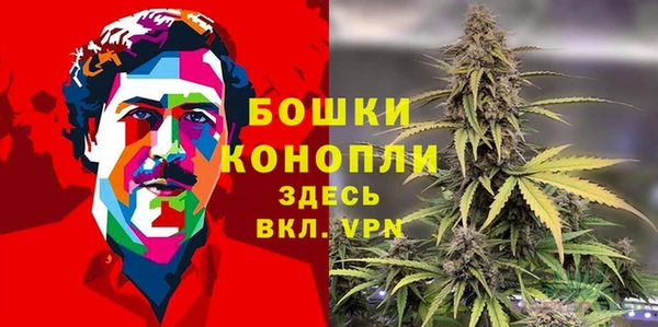 крисы Белоозёрский