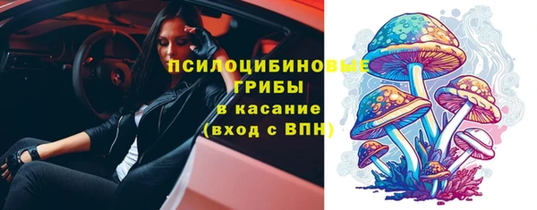 мдпв Белокуриха