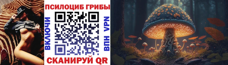 Галлюциногенные грибы мухоморы  наркошоп  Михайловка 